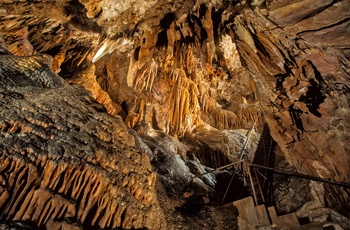 Yarrangobilly grotterne i Snowy Mountains, New South Wales i Australien