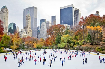 Central Park om vinteren, New York