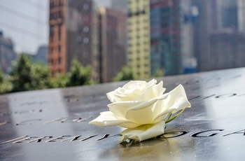 Hvid rose lagt på Ground Zero / 9/11 Memorial i New York, USA