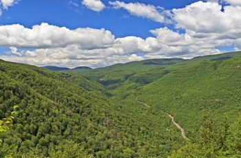 Catskills Mountains i New York State