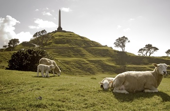 One Tree Hill, Auckland, New Zealand