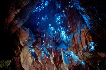Grotte med glowworms, Waitomo på New Zealands nordø