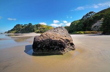 New Zealand Bay of Plenty Maketu Beach