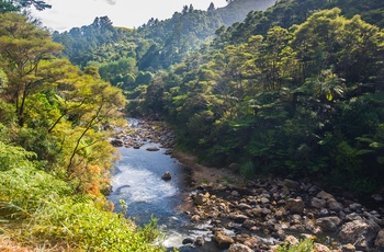 New Zealand Nordoen Karanghake Gorge Waitawheta River