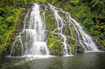 New Zealand Nordoen Wharoa Falls