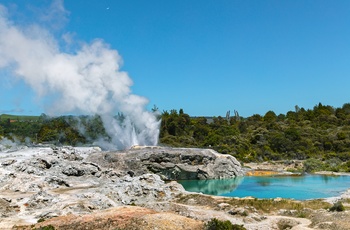 New Zealand Nordoen Whakarewarewa