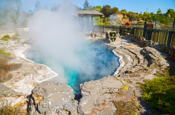 New Zealand Nordoen Whakarewarewa