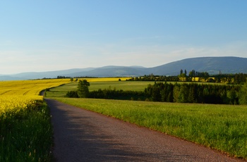 Opleve den fine udsigt til Krkonose i en autocamper i Tjekkiet