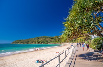 Noosa Boardwalk i Queensland