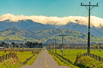 Vej gennem Wairarapa regionen på New Zealands Nordø