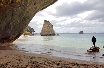 Cathedral Cove på Coromandel-halvøen - Nordøen i New Zealand