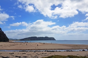 Hot Water Beach på Coromandel-halvøen i New Zealand