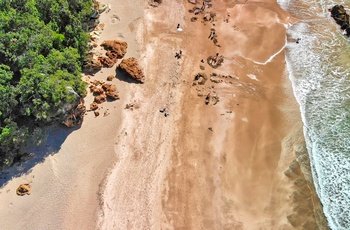 Hot Water Beach på Coromandel-halvøen i New Zealand