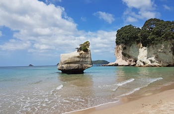 Udsigt fra klippekysten ved Cathedral Cove, Coromandel-halvøen i New Zealand