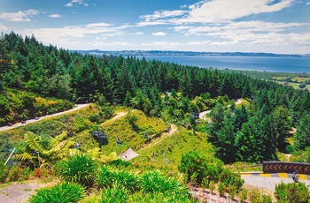 Med luge eller gokart, Skyline Rotorua - Nordøen i New Zealand