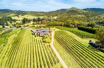 En af de 22 vingårde på øen Waiheke Island - Nordøen i New Zealand