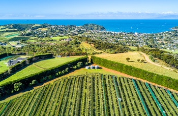 Vinområde på øen Waiheke Island - Nordøen i New Zealand