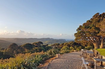 Vingård på øen Waiheke Island - Nordøen i New Zealand