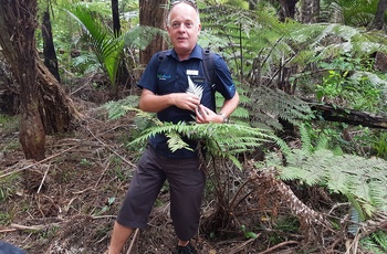 Guide i Waitakere Ranges Regional Park - Nordøen i New Zealand