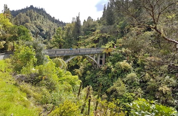 Bridge to Nowhere i Whanganui National Park på Nordøen - New Zealand