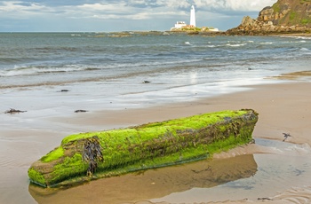 St. Mary´s fyrtårn nær Newcastle på nordøst Englands kyst