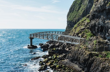 Nordirland, County Antrim - Bridge 3 på The Gobbins Path  (Foto - Tourism Ireland)