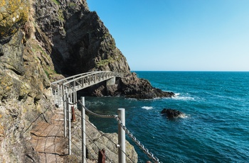 Nordirland, County Antrim - The Gobbins Cliff Path (Foto - Tourism Ireland)