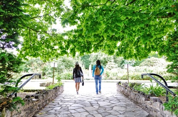 Sommer i den botaniske have i Belfast, Nordirland