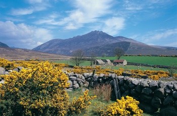 Mourne Mountains