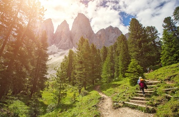 På vandretur gennem naturen i Dolomitterne, Norditalien