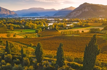 Vinområdet Franciacorta i efterårsfarver, Norditalien