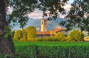 Udsigt til kirketårn bag vinmark i vinområdet Franciacorta i Norditalien