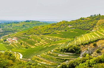 Vinområdet Valpolicella nær Gardasøen i Norditalien
