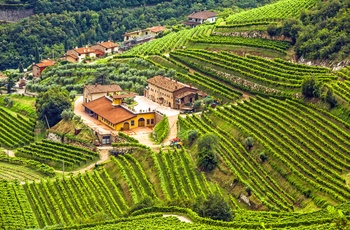 Vinområdet Valpolicella nær Gardasøen i Norditalien