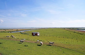 Vadehavet i Nordtyskland