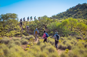 Vandring i Larapinta Trail i Macdonnell Ranges, Northern Territory