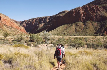 Vandring i Larapinta Trail i Macdonnell Ranges, Northern Territory
