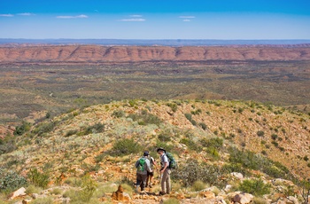Vandring i Larapinta Trail i Macdonnell Ranges, Northern Territory