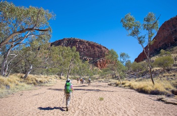 Larapinta Trail i Macdonnell Ranges, Northern Territory