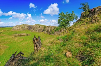 Walltown Crags, karakteristiske klipper i Northumberland, England