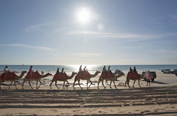  Kameltur på Cable Beach i Broome - Foto: P. Hauerbach/ FDM