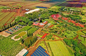 Dole Plantation - ananas plantage på Oahu - Hawaii