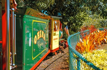 Tag på Pineapple Express Train Tour på Dole Plantation - ananas plantage på Oahu - Hawaii