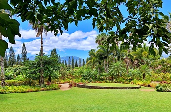 Dole Plantation´s store have - ananas plantage på Oahu - Hawaii