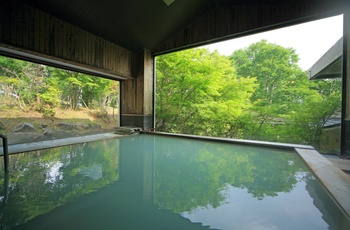 Okunikko Hotel Shikisai - Varme kilder bad