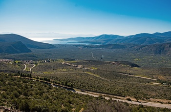 "Olivenhavet", et gigantisk tæppe af oliventræer nær kystbyen Itea - Grækenland