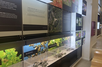 Mount Olympus National Park informationscenter og museum - Grækenland