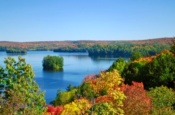 Efterår i Arrowhead Provincial Park i Ontario, Canada