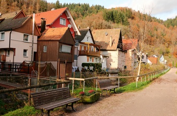 Oppenau i Schwarzwald