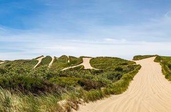 Sandklitter i Oregon Dunes